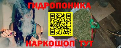 a pvp Краснознаменск