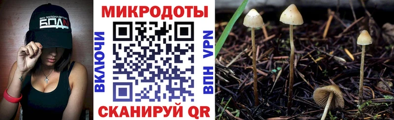 это какой сайт  Краснокаменск  Псилоцибиновые грибы Magic Shrooms  наркотики 