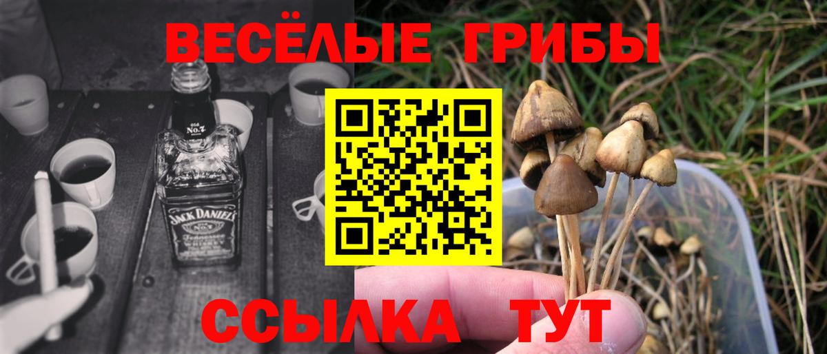наркошоп  Вход с VPN  Краснокаменск  Псилоцибиновые грибы Psilocybine cubensis 